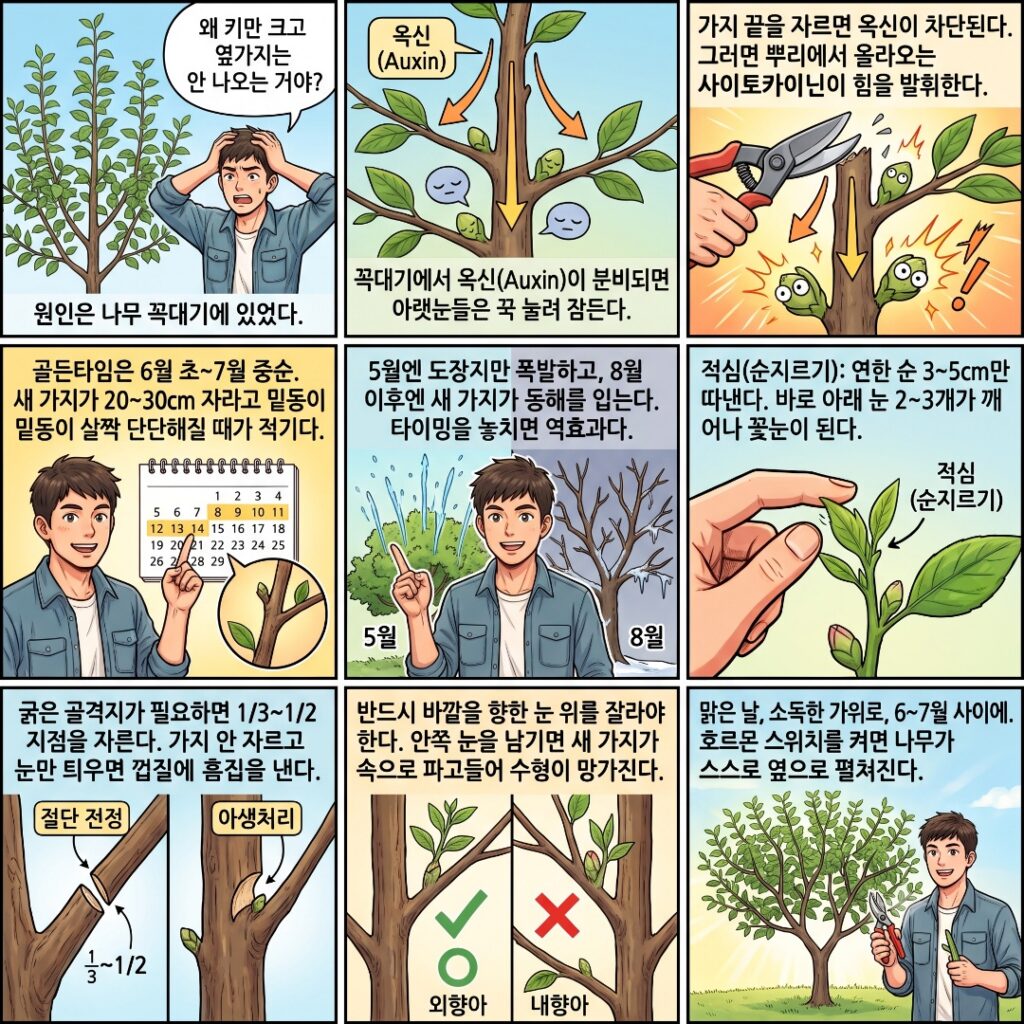 정단우성에 관해 설명하는 웹툰