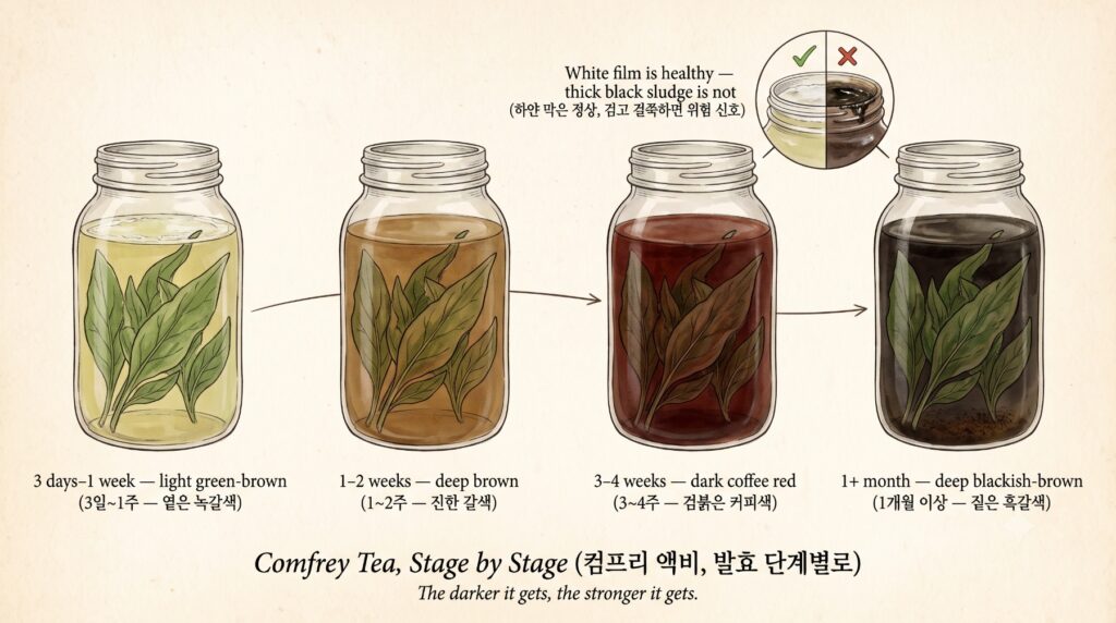 컴프리 액비 발효 단계별 변화를 보여주는 도감